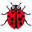 12.bugs.png
